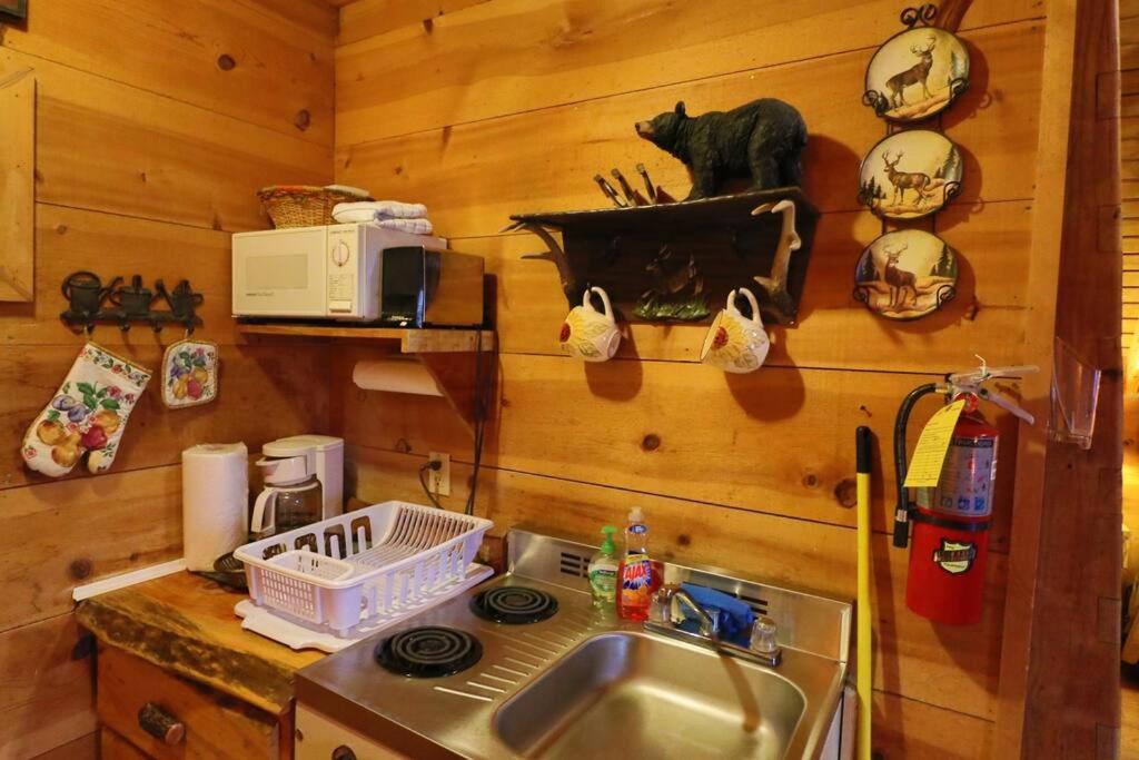 Cozy Cabin W/ Fireplace 3 Minutes To Helen! #2. מראה חיצוני תמונה